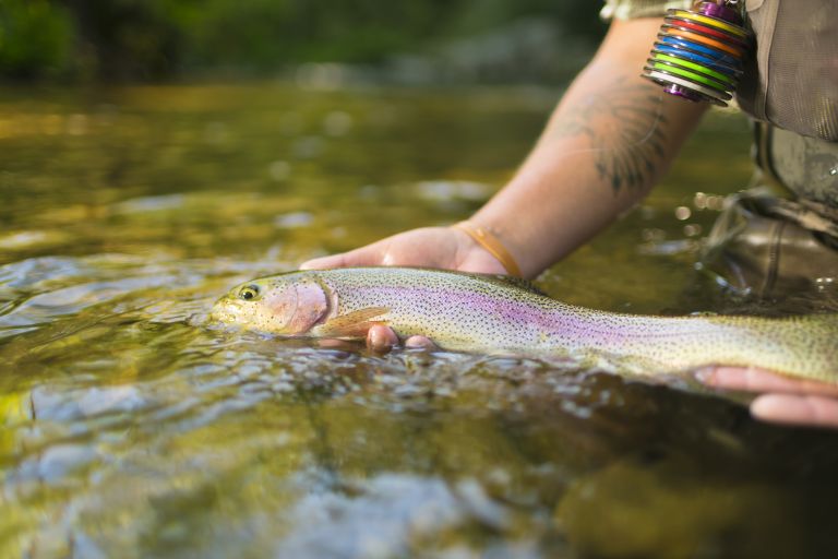 Cherokee Fishing Updates Stocking Schedule Safety Guidelines For 